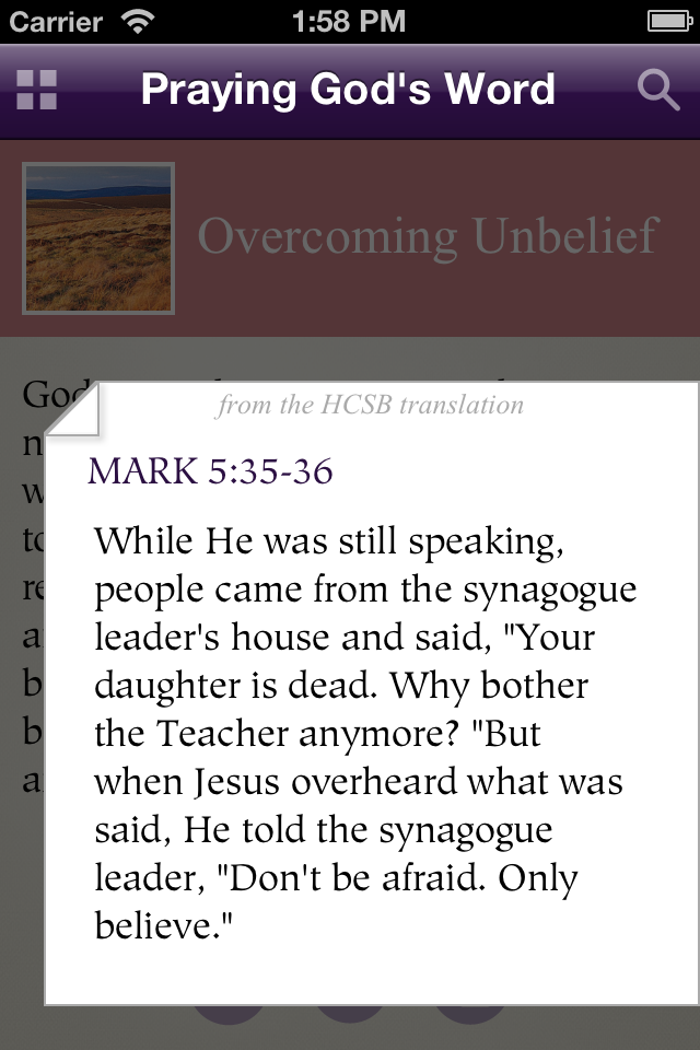 iPhone Screenshot 1
